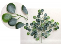 Liść silikonowy 3-ramienny EUKALIPTUS, PIENIĄŻEK 60 cm białe środki - 1 szt 
