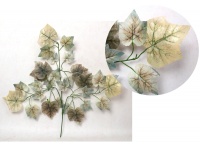 Liść silikonowy 3-ramienny WINOBLUSZCZ nakrapiany wys. 63 cm zielono-brązowy jasny - 1 szt