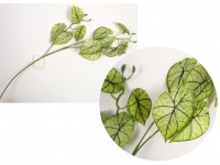 Liście sztuczne CALADIUM wys. 70 cm 