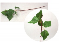 Łodyga, korpus do gwiazdy betlejemskiej, poinsecji 60 cm zielone listki