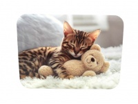 Mata stołowa 40x30 cm ŚPIĄCY KOT Z MISIEM NA BIAŁYM DYWANIE