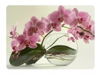 Mata stołowa 40x30 cm STORCZYK RÓŻOWY Z TRANSPARENTNYM WAZONEM