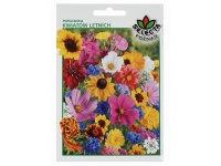 Mieszanka nasion kwiatów letnich 5g - 1 paczka