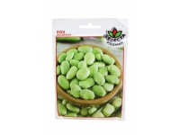 Nasiona Bób DRAGON (sno) wczesny 50g - 1 paczka