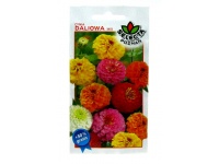Nasiona Cynia wytworna daliowa 1g - 1  paczka