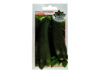 Nasiona Dynia zwyczajna cukinia 2g BLACK BEAUTY - 1 paczka