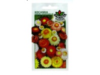 Nasiona Kocanka ogrodowa 0,7g
