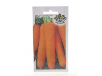 Nasiona Marchew jadalna PÓŹNA DOLANKA 5g - 1 paczka