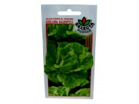 Nasiona Sałata siewna królowa majowych 1g - 1 paczka