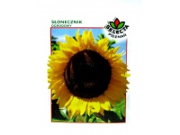 Nasiona Słonecznik ogrodowy paskowany 10g - 1 paczka