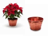 Osłonka, doniczka dekoracyjna tłoczona 11,5x8x8 cm CZERWONA plastik