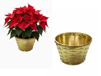 Osłonka, doniczka dekoracyjna tłoczona 11,5x8x8 cm ZŁOTA plastik