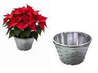 Osłonka, doniczka dekoracyjna tłoczona 11,5x8x8 cm SREBRNA plastik