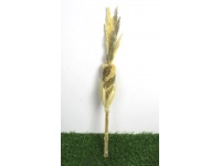 Palma Wielkanocna NATURALNA 44 cm 