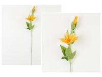 Powojnik wys. 56 cm (główka 12 cm) B15 POMARAŃCZOWO-ŻÓŁTY #03A