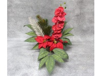 Stroik zalewany misa BOŻONARODZENIOWY Gwiazda Betlejemska, storczyk (ok. 65x50x45 cm) ok. 1,5 kg 