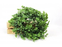 Wieniec wianek dekoracyjny BUKSZAPAN 36 cm